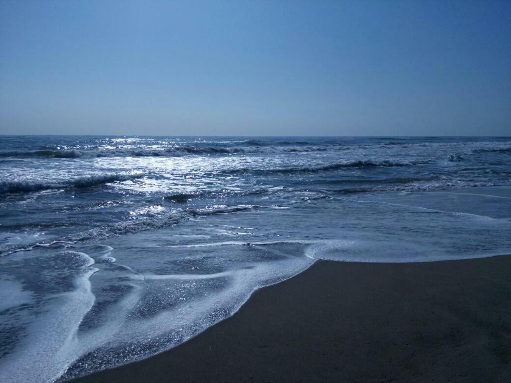 Terrasses De La Mediterranee Флері Екстер'єр фото